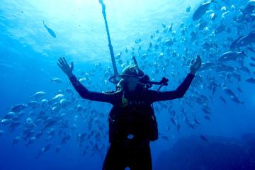 Scuba diver surrounded with different fish