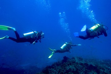 3 people diving underwater