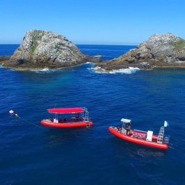 a small boat in a body of water
