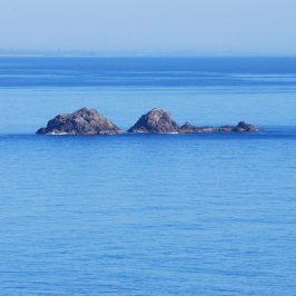 a whale on a lake next to a body of water