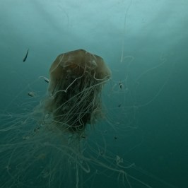 water next to the ocean